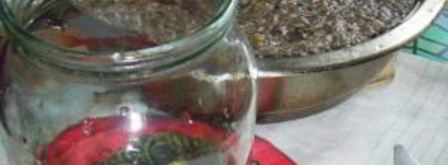 грибная икра на зиму. Шаг 4