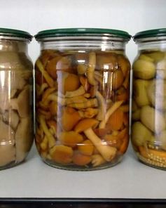 Грибы на зиму без стерилизации