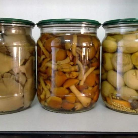 Рецепт грибов ны зиму беза стерилизаций