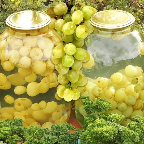 Рецепт компота из белого винограда