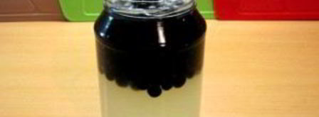 компот из черноплодной рябины. Шаг 3