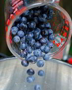 Компот из голубики