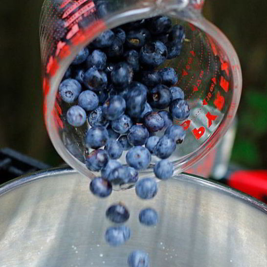 Рецепт компота из голубики