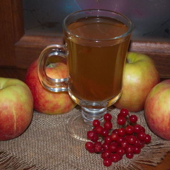 Рецепт компота из калины и яблок