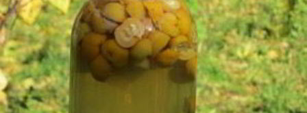 компот из лимонника. Шаг 4