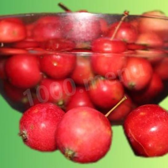 Рецепт компота из ранеток черноплодной рябины