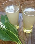 Компот из ревеня