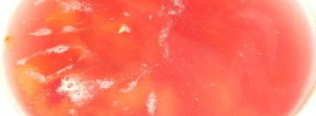 компот из слив и винограда. Шаг 4