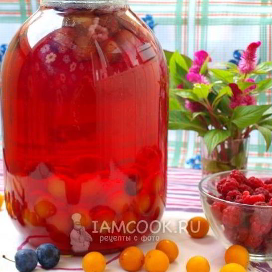 Рецепт компота из терна, алычи и малины на зиму