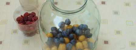 компот из терна, алычи и малины на зиму. Шаг 3