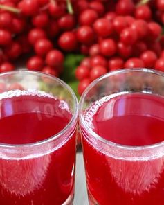 Лимонник компот