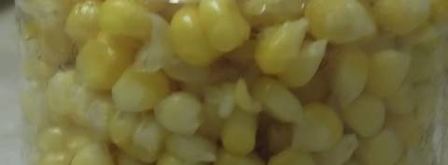 кукуруза на зиму. Шаг 7