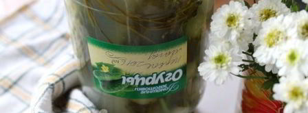 квашеные огурцы на зиму без уксуса. Шаг 11