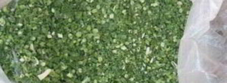 лук-батун на зиму. Шаг 3