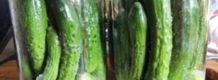 маленькие огурчики на зиму. Шаг 3