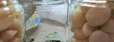 чеснок маринованный. Шаг 2