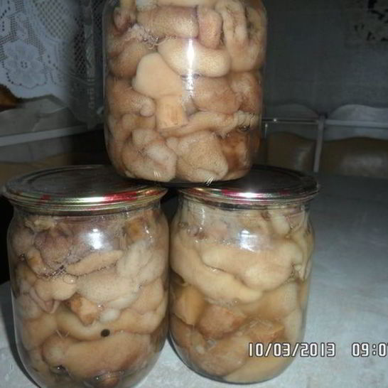 Рецепт грибочков маринованных