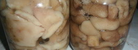 грибочки маринованные. Шаг 2