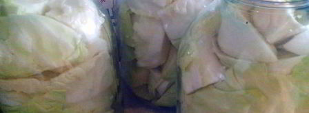 капуста маринованная пластинками. Шаг 4