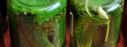 хрустящие маринованные огурцы с болгарским перцем на зиму. Шаг 8