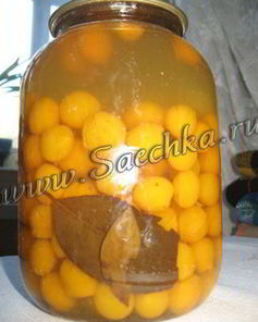 Маринованная алыча