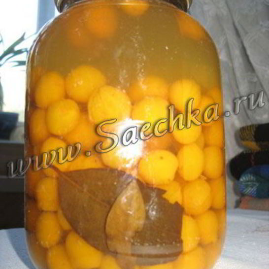 Рецепт маринованной алычи