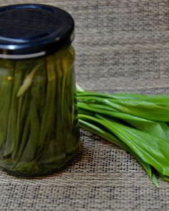 Маринованная черемша