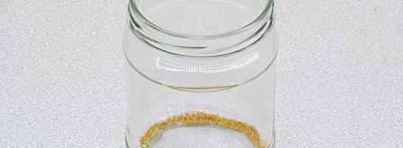 маринованные чесночные стрелки с горчицей. Шаг 2