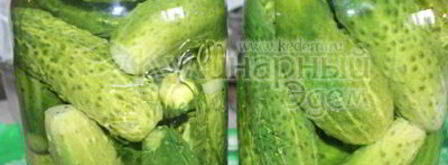 маринованные хрустящие огурчики на зиму. Шаг 4