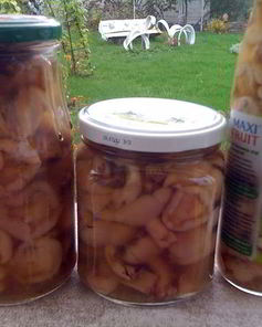 Маринованные маслята жареные