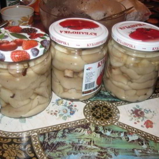 Рецепт маринованных маслят