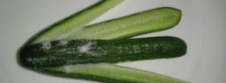 маринованные огурцы с укропом. Шаг 3