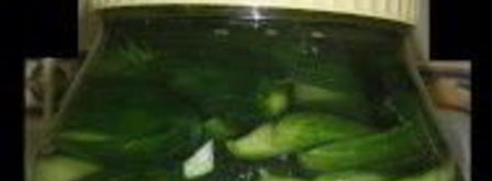 маринованные огурцы с укропом. Шаг 6