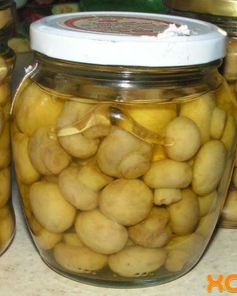 Маринованные шампиньоны, закрытые на зиму