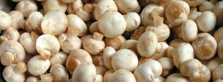 маринованные шампиньоны, закрытые на зиму. Шаг 2