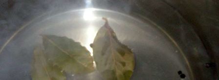 маринованные шампиньоны, закрытые на зиму. Шаг 3