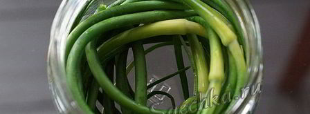 маринованные стрелки чеснока. Шаг 7