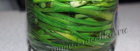 маринованные стрелки чеснока. Шаг 8