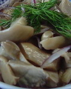 Маринованные вешенки на зиму