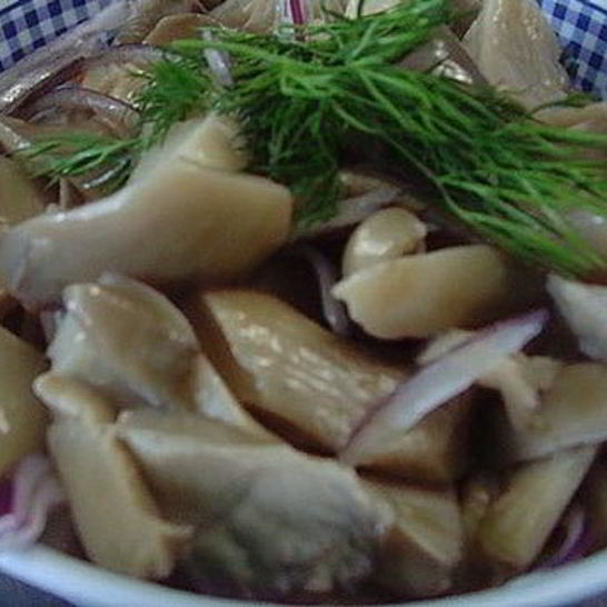 Рецепт маринованных вешенок ны зиму