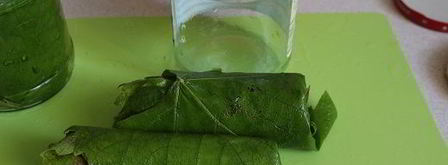 маринованные виноградные листья. Шаг 3