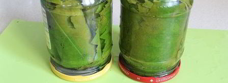 маринованные виноградные листья. Шаг 5