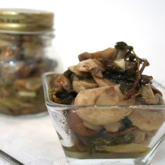 Рецепт маринованных зонтиков