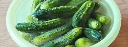 огурцы маринованные по-болгарски. Шаг 4