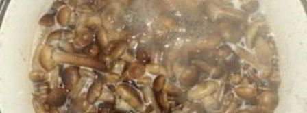 опята маринованные. Шаг 2