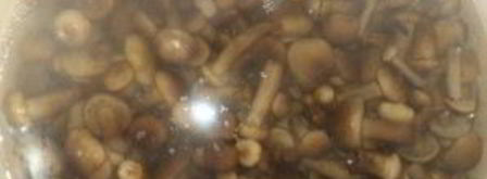 опята маринованные. Шаг 4