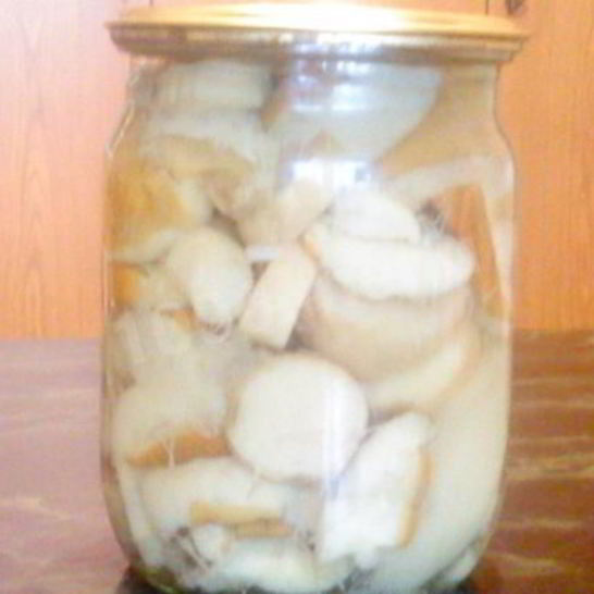 Рецепт свежих маринованных грибочков на зиму