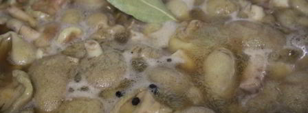 маслята, замороженные на зиму. Шаг 3