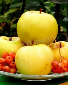 Моченые яблоки на зиму