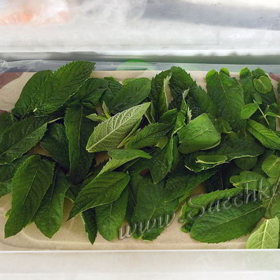 Рецепт мяты на зиму